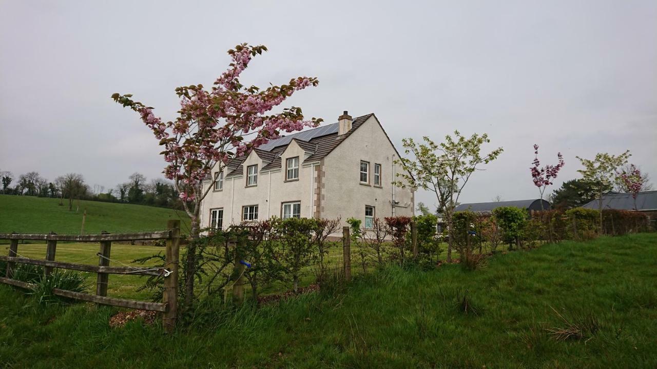 Laraghson House Konuk evi Enniskillen Dış mekan fotoğraf